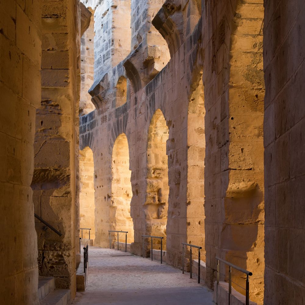 Inside view of the Colosseum during a guided tour Colosseum and Forum